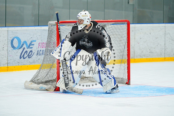IIHF_SEMI_FINALS_0766