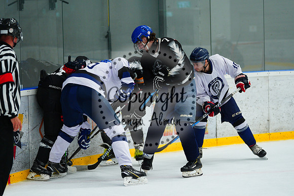 IIHF_SEMI_FINALS_0820