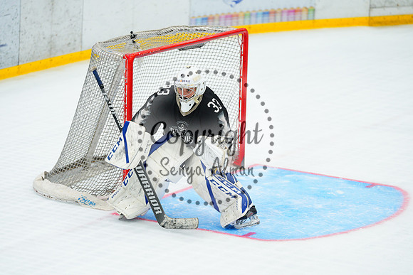 IIHF_SEMI_FINALS_0904