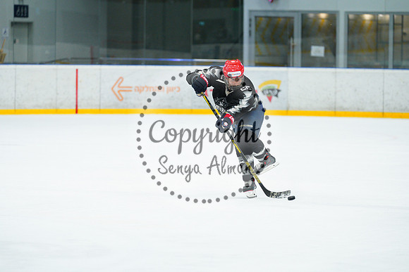IIHF_SEMI_FINALS_0967