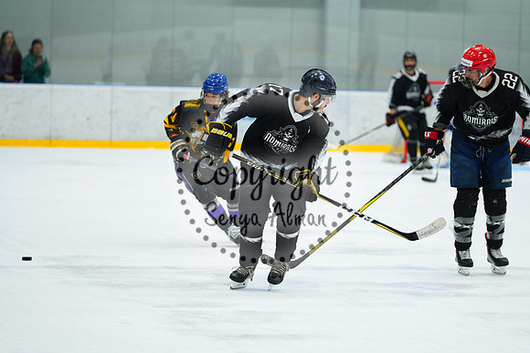IIHF_SEMI_FINALS_0797