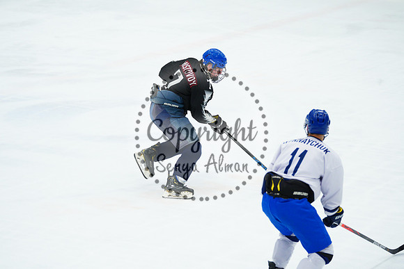 IIHF_SEMI_FINALS_0865