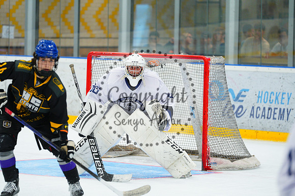 IIHF_SEMI_FINALS_0801
