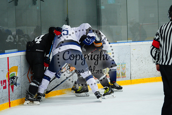 IIHF_SEMI_FINALS_0819