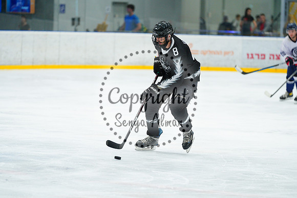 IIHF_SEMI_FINALS_0608
