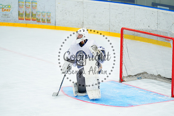 IIHF_SEMI_FINALS_0898