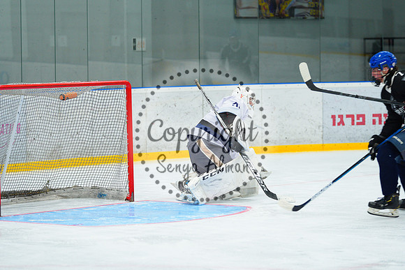 IIHF_SEMI_FINALS_0619