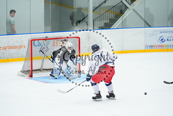 IIHF_SEMI_FINALS_0886
