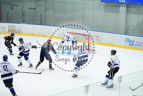 IIHF_SEMI_FINALS_0881