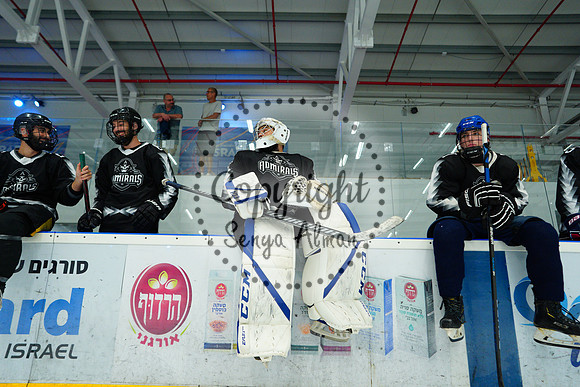 IIHF_SEMI_FINALS_0558
