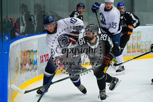 IIHF_SEMI_FINALS_0826