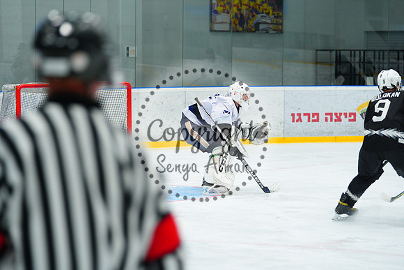 IIHF_SEMI_FINALS_0613