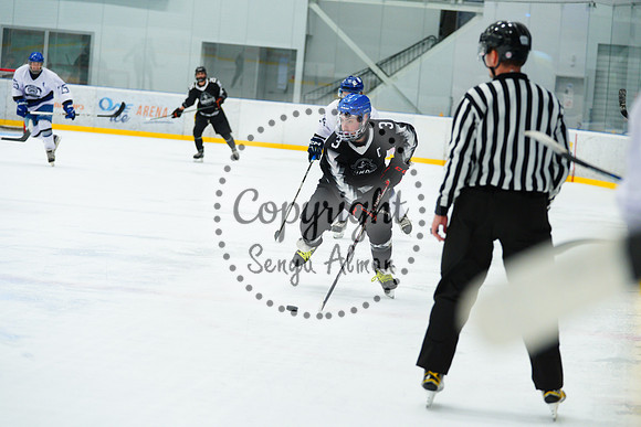 IIHF_SEMI_FINALS_0737