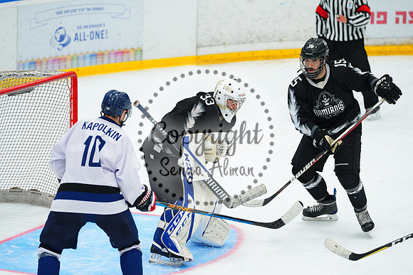 IIHF_SEMI_FINALS_0915
