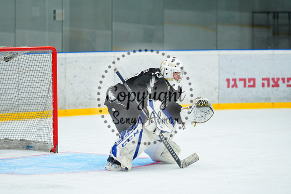 IIHF_SEMI_FINALS_0831