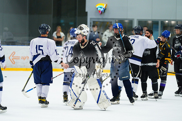 IIHF_SEMI_FINALS_0980