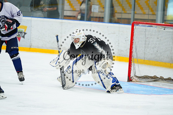 IIHF_SEMI_FINALS_0635
