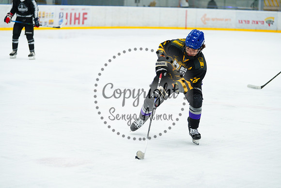 IIHF_SEMI_FINALS_0714