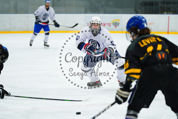 IIHF_SEMI_FINALS_0662