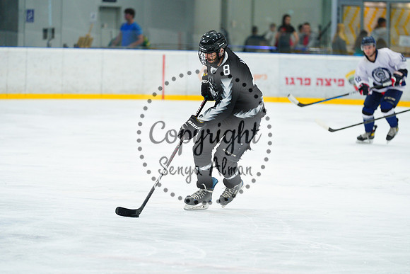 IIHF_SEMI_FINALS_0607