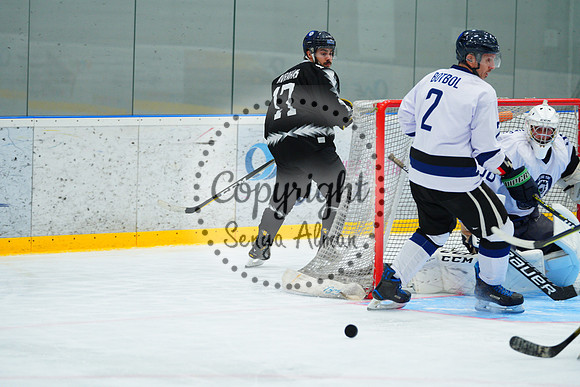 IIHF_SEMI_FINALS_0711