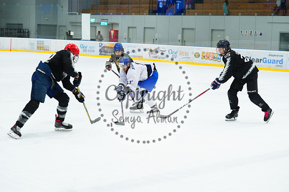 IIHF_SEMI_FINALS_0791