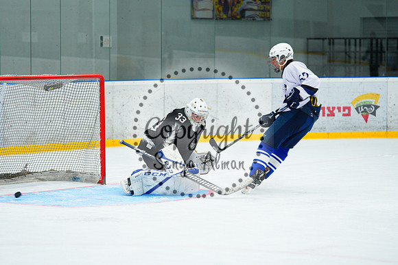 IIHF_SEMI_FINALS_0814