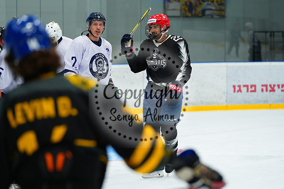 IIHF_SEMI_FINALS_0713
