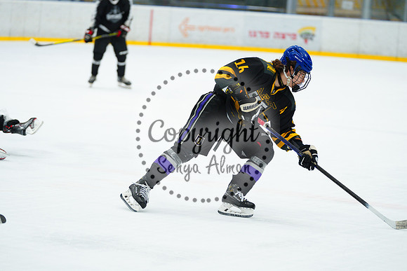IIHF_SEMI_FINALS_0930