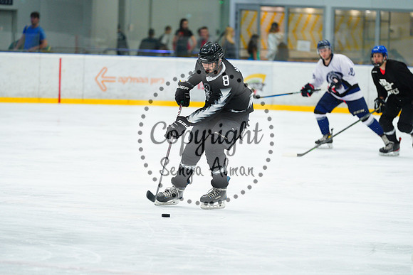 IIHF_SEMI_FINALS_0605