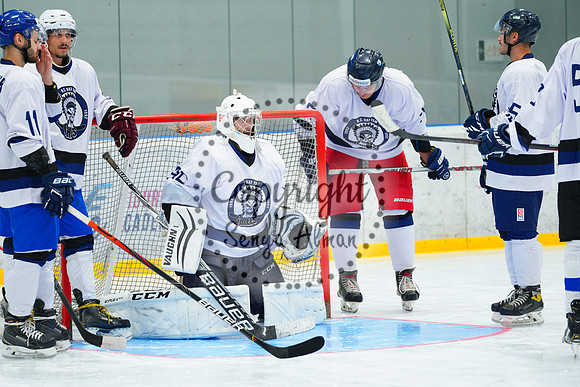 IIHF_SEMI_FINALS_0591