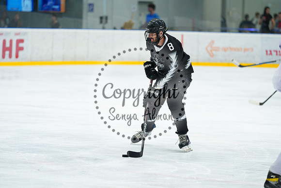 IIHF_SEMI_FINALS_0609