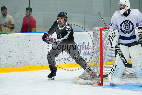 IIHF_SEMI_FINALS_0710