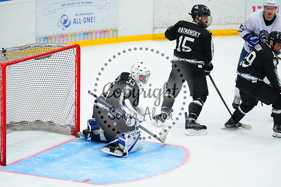 IIHF_SEMI_FINALS_0922
