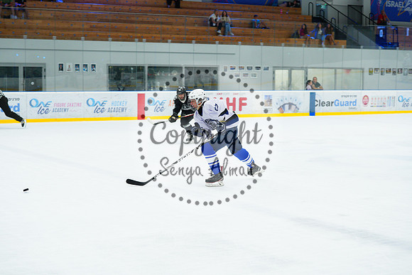 IIHF_SEMI_FINALS_0811