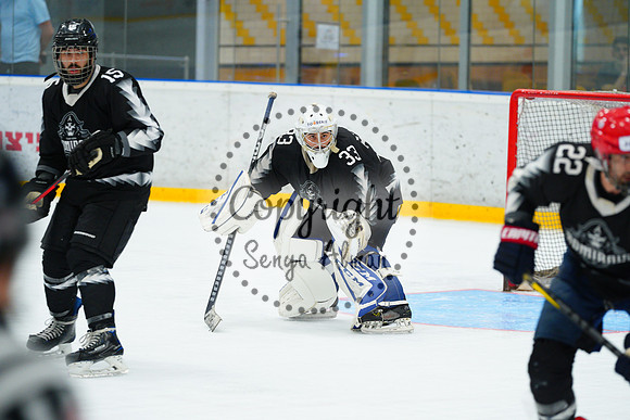 IIHF_SEMI_FINALS_0747