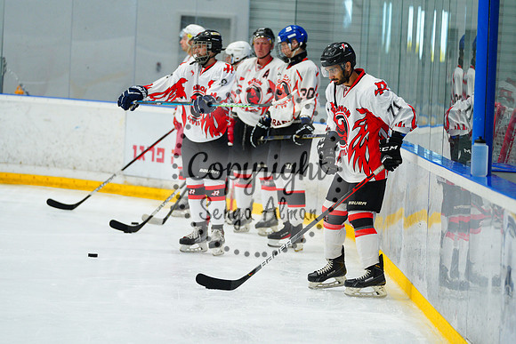 IIHF_SEMI_FINALS_0009