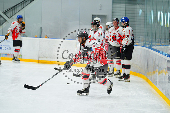 IIHF_SEMI_FINALS_0011