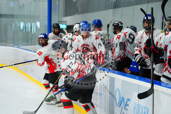 IIHF_SEMI_FINALS_0001