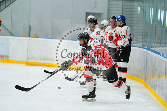 IIHF_SEMI_FINALS_0010
