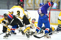 B7 VS JERUSALEM BEARS
