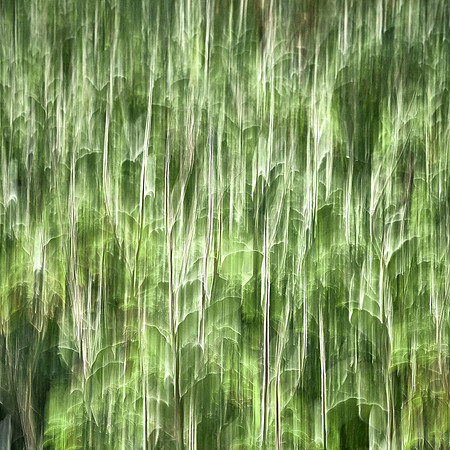 S1_07658