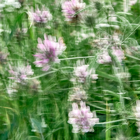S1_07661