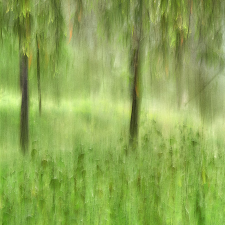 S1_08013_1