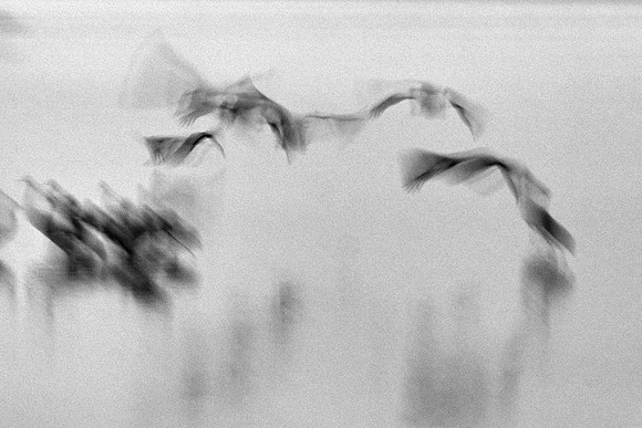 S1_03104