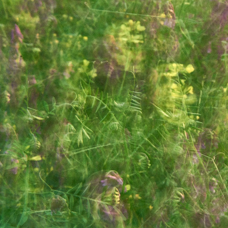 01_06841