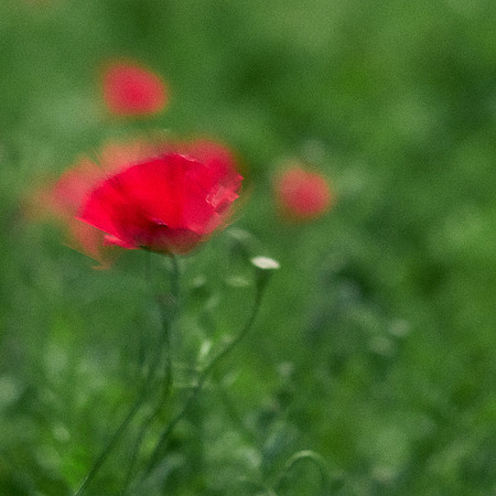 S1_07755