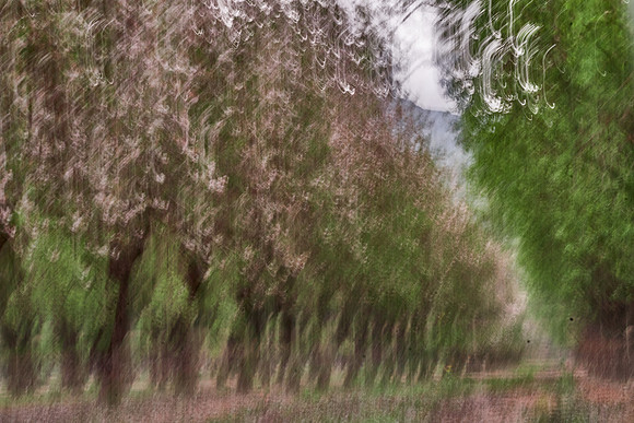 S1_05145