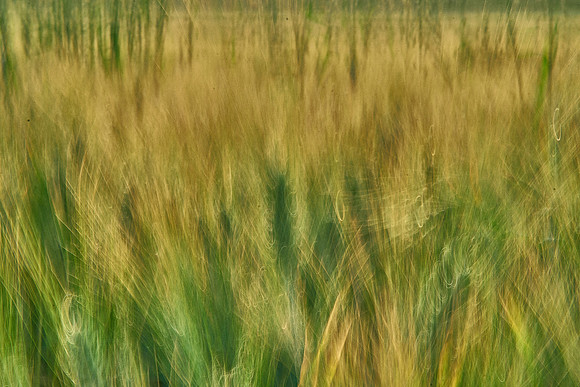 01_07058
