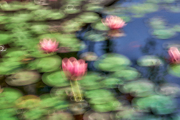 01_00022